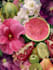 draw botanical illustrations of flowers