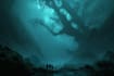 do mystical horror dark environment concept art or landscape