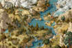 fantasy map design map illustration fantasy map