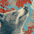 draw an animal and botanical illustration