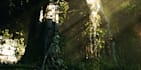 create 3d game environments using unity and unreal engine