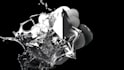 do a cinematic 3d product rendering and animation
