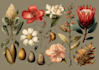 draw digital botanical illustrations