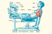 draw exercise, medical and anatomy illustrations