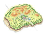 draw landscape sketch, colored site plan, custom map