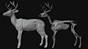 create realistic 3d animals and creatures