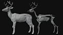 create realistic 3d animals and creatures