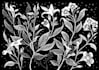 make animal and botanical linocut doodle illustration
