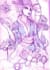 create your watercolor custom tattoo design and illustration