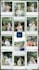 do professionally cull and edit photos in lightroom