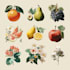 paint vegetables, fruits, flowers and plants illustrations