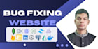 fix error, bug or add features to website