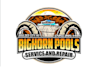 design a professional bighorn pools logo