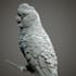3d animal model realistic fur 3d xgen zbrush model, maya blender model, 3d print