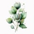 do botanical illustration art for you