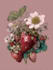 paint watercolour botanical illustrations