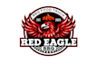 create high quality and beautiful eagle logo design