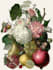 do botanical and anatomical scientific illustrations
