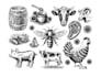 create new style pig farm logo for your business