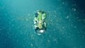 create 3d fluid simulation vfx compositing cloth simulation particles simulation