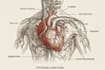 design medical and scientific illustration