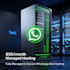create a custom whatsapp bot according to your requirements