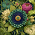 make botanical illustrations of flowers, plants