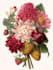 make botanical product illustration