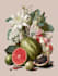 paint watercolour botanical illustrations