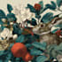 draw animal and botanical illustrations