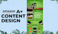 design amazon listing images