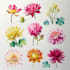 paint watercolor flowers and botanical illustrations