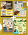 design beautiful flyer, brochure, poster and postcards  etc