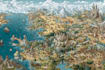 make fantasy map illustration