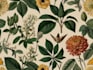 create a beautiful vintage botanical illustration poster