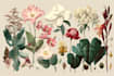 draw a realistic botanical illustration