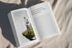 design your ebook, paperback, and print book layout