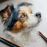 draw realistic watercolor pet portrait painting