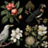 draw botanical and animal designs and patterns for you
