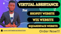 be your wix, shopify and squarespace website virtual assistant