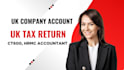 file ct600, UK tax return, cs01, UK ltd accounts