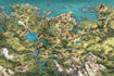 fantasy map illustration vector event map design tourist map