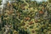 draw fantasy map illustration isometric map