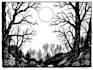 create artistic linocut illustration with fast delivery