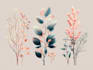 design boho chic hand drawn botanical logo