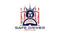 design a professional pilot, tourism, racing, driver logo