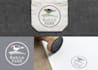 create outstanding robin logo with express delivery