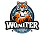 design an professional animal tiger logo