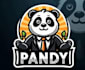 design modern gorgeous panda mascot logo
