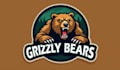 create unique grizzly bears logo with bold t shirt concept